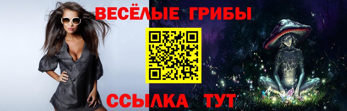 Псилоцибиновые грибы мухоморы Алексин